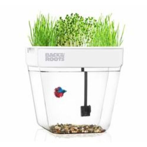 Back to the Roots Indoor Aquaponic Garden – 3 Gallon Self Watering, Mess-Free Planter and Self-Cleaning Fishtank for Herbs, Micr